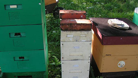 Projekt kombinovaného včelaření